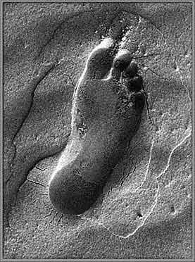 2 Huella (al final del todo)