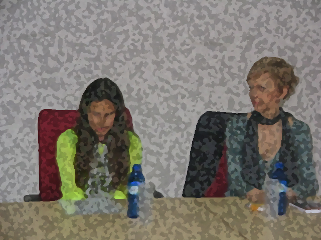 Fallo Certamen Max Aub 2013 020 efecto esponja