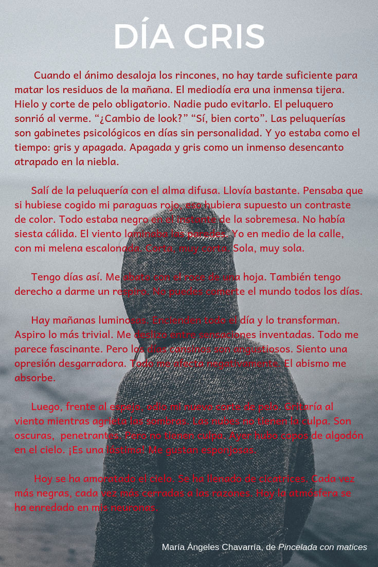 día gris maria-angeles-chavarria