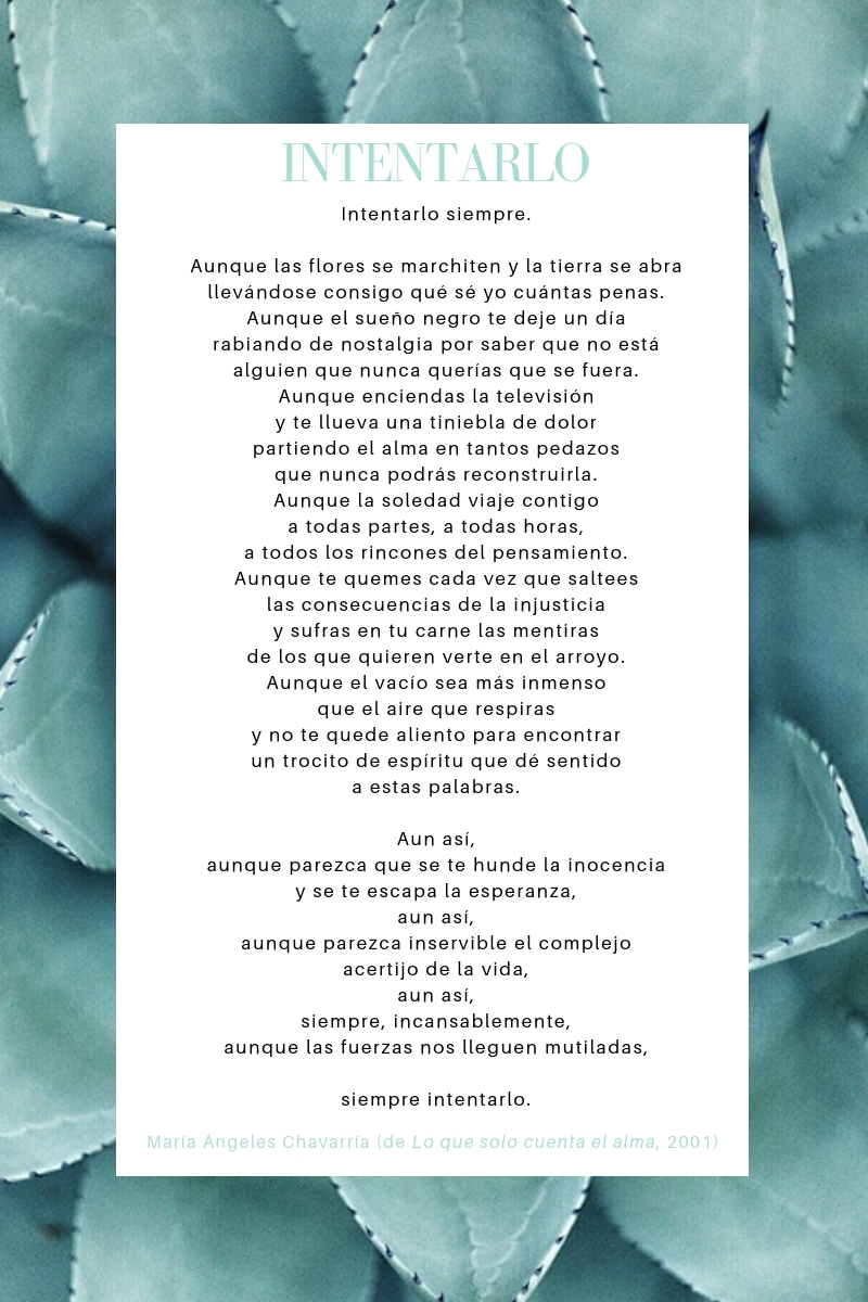 INTENTARLO maria-angeles-chavarria