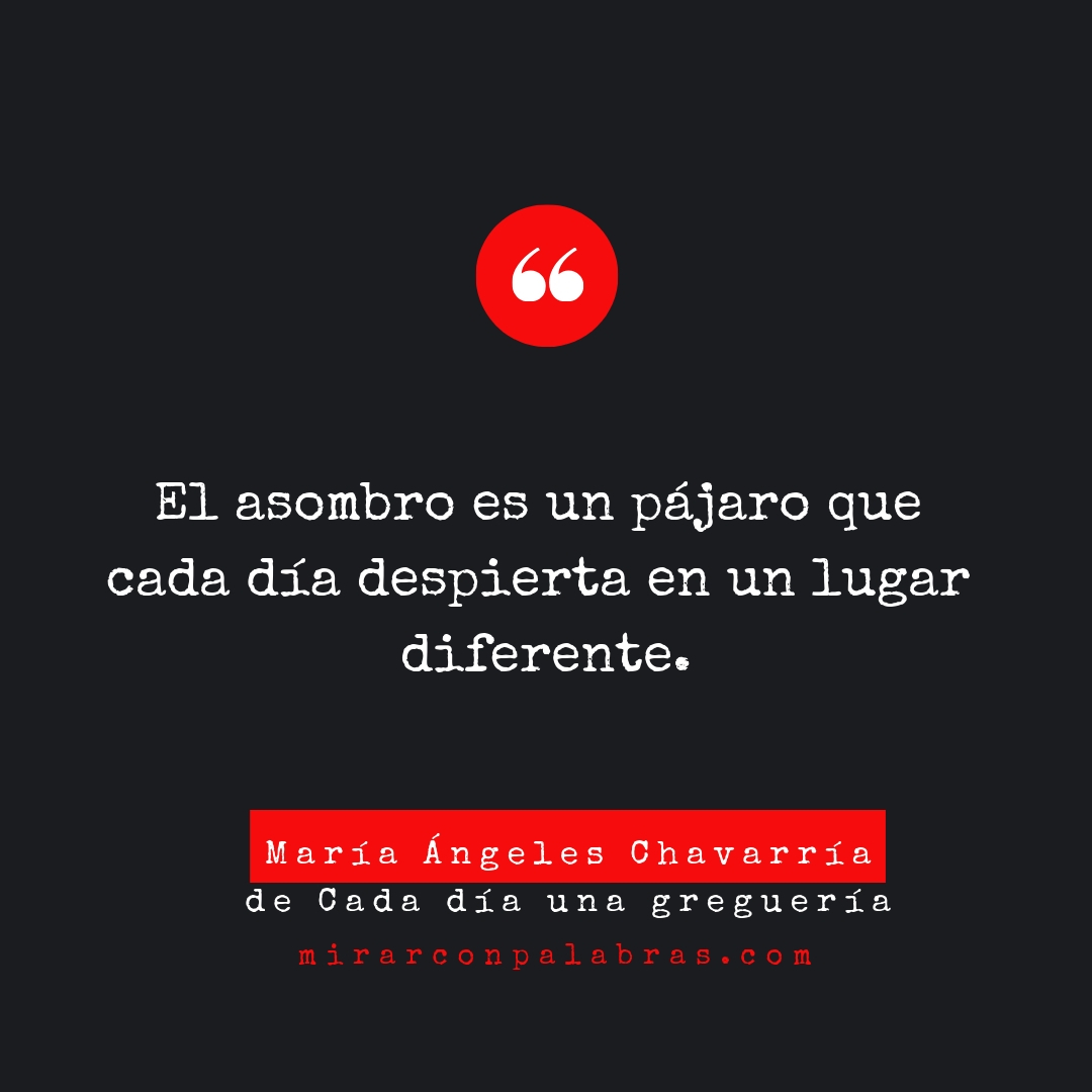 El asombro maria-angeles-chavarria