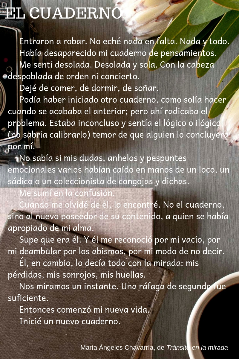 EL CUADERNO maria-angeles-chavarria