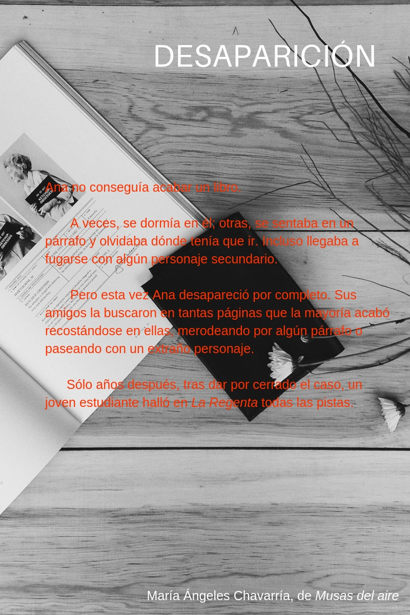 DESAPARICIÓN maria-angeles-chavarria.jpg