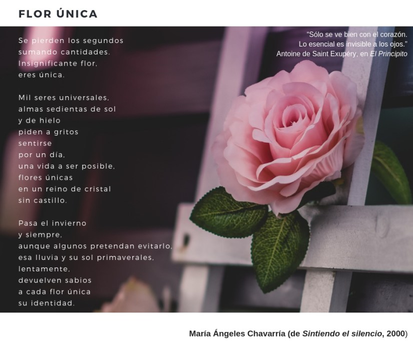 FLOR ÚNICA maria-angeles-chavarria Sintiendo el silencio 2000.jpg