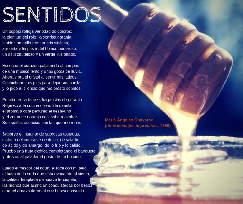SENTIDOS maria-angeles-chavarria