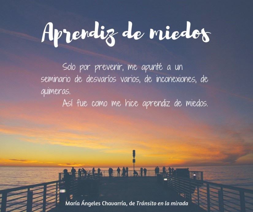 Aprendiz de miedos maria-angeles-chavarria