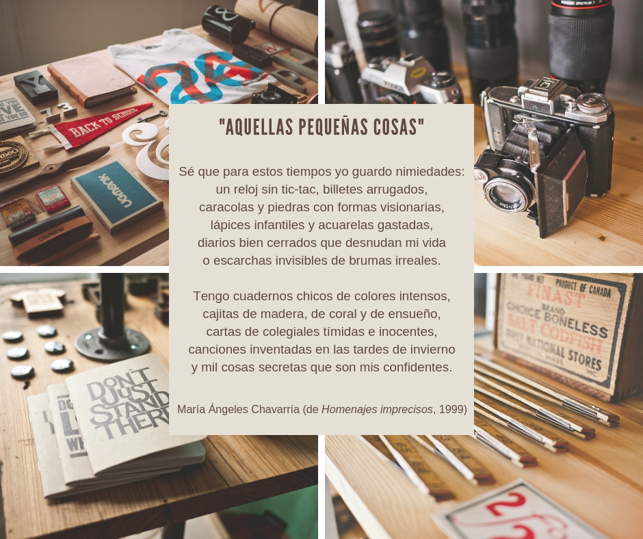 AQUELLAS PEQUEÑAS COSAS maria-angeles-chavarria