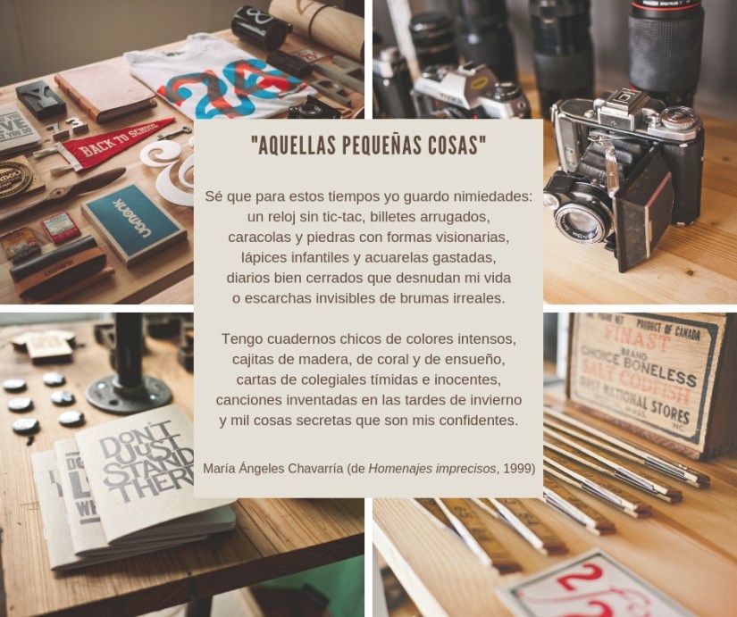 AQUELLAS PEQUEÑAS COSAS maria-angeles-chavarria